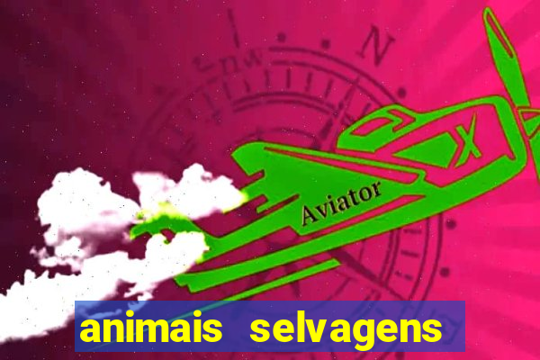 animais selvagens fotos e nomes