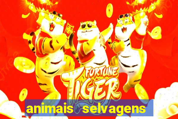 animais selvagens fotos e nomes