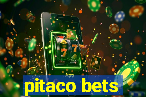 pitaco bets