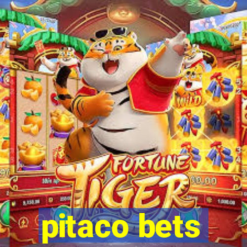 pitaco bets