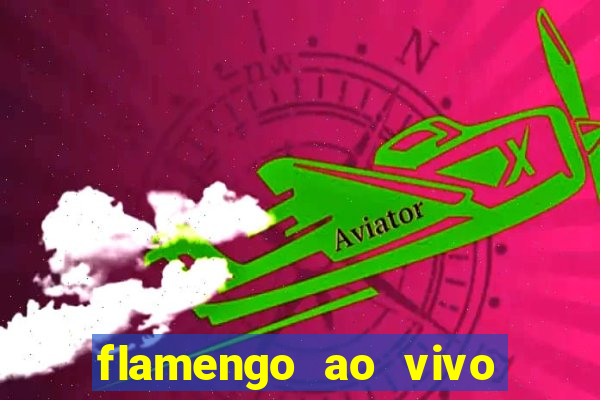 flamengo ao vivo multi tv