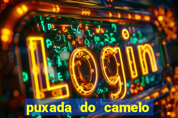 puxada do camelo jogo do bicho