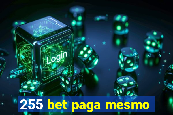 255 bet paga mesmo