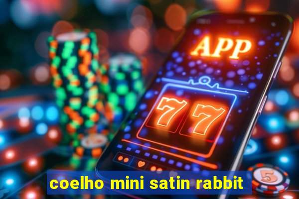 coelho mini satin rabbit