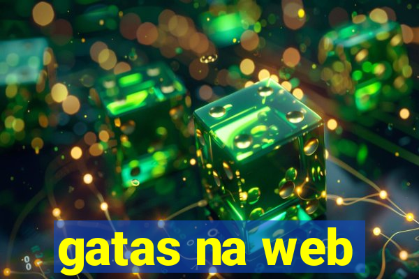 gatas na web