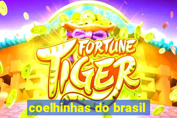 coelhinhas do brasil